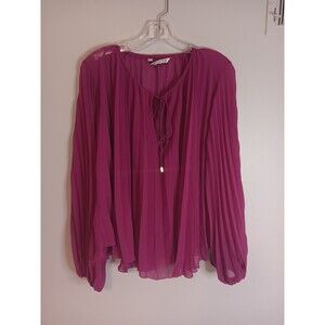 Zara Sheer Pink Pleated Blouse Top Flowy Sz XS